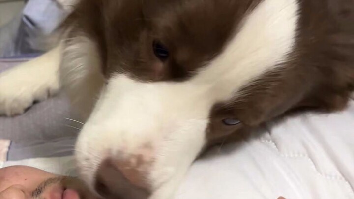 Fishy: The annoying virus, let's go out and have fun