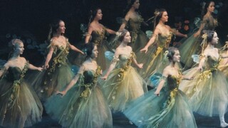 100% Sweetness Ballet