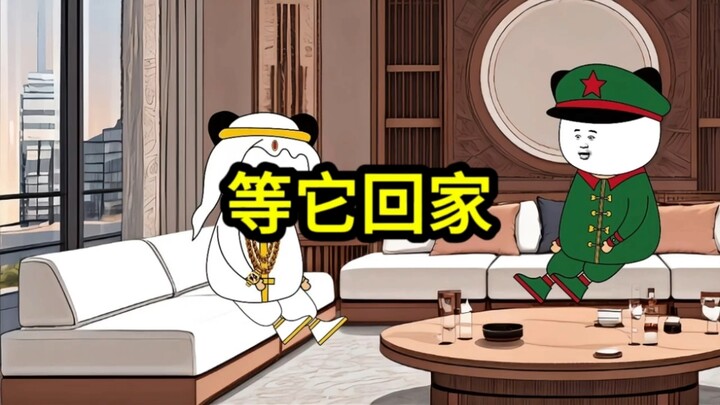 我不会强迫他，我等它回家。