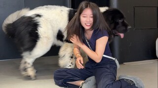 上门喂养名场面，盘点我遇到的那些神兽