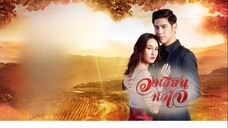 วงเวียนหัวใจ ตอนที่ 1