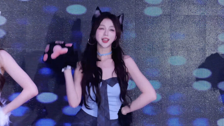 A naturally clueless kitten kneading…🐾 | Bopeepbopeep—T-ara (kissoflife cover) Horizontal-screen liv