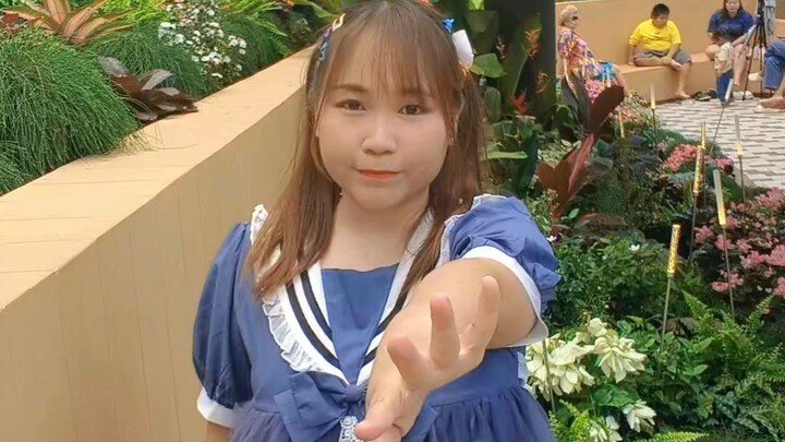 Precure Idol 💕🩷🌟