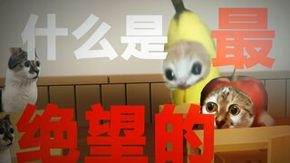 校园趣事系列2.0