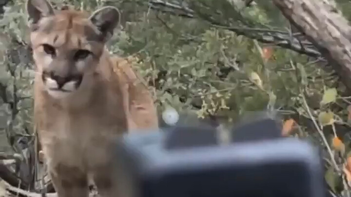 เมื่อคุณถูกจักรพรรดิผู้ชราขวางทาง แต่พอดีว่าคุณถืออาวุธจักรพรรดิแห่งการย้อนรอยอยู่ในมือ