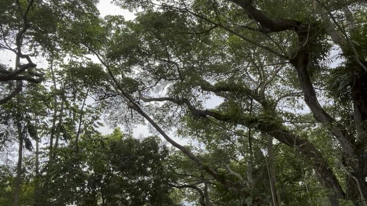 KEDAH DIGITAL LIBRARY