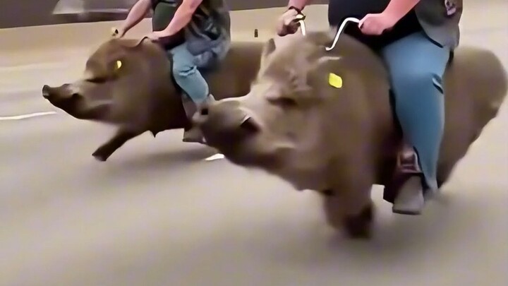 เจอแบบนี้ต้องวิ่งหนีไหม?