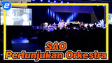 Sword Art Online | [EXPO ANIME 2014] HD BGM Pertunjukan Orkestra_2