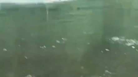 Rắn: Chơi không nổi, kiểm soát đến chết luôn.