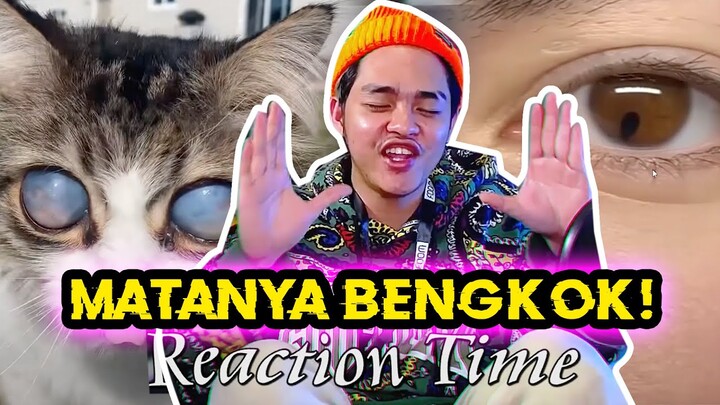 CHANEL PALING TYDAK CLIKBAIT DI UTUP!