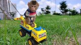 Monkey BiBi Practice Driving Excavator - Funny Video