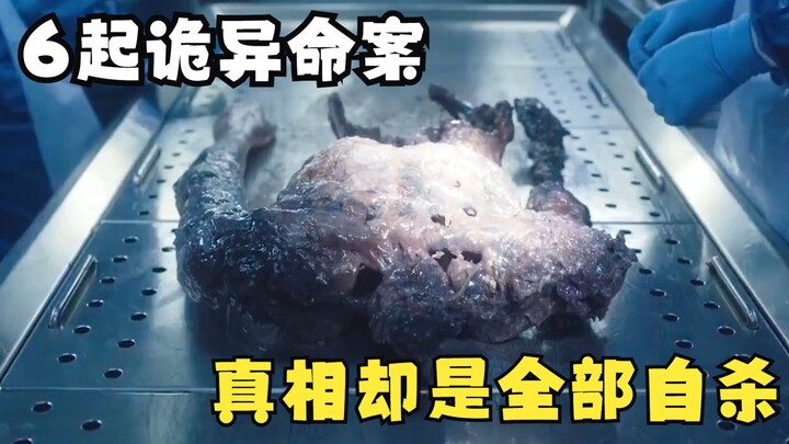 [Brain-Teasing Mystery] 6 Creepy Murder Cases All Turn Out to Be Suicides—Watch the High-Scoring Chi