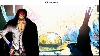 Top 10 giả thuyết có thể trở thành sự thật trong One Piece _ 1