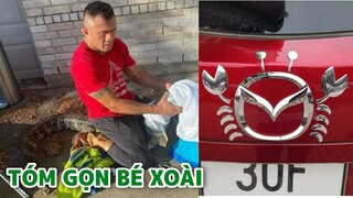 Ông bố tóm gọn bé xoài giúp con gái, hãng xe này hợi - Top comment.