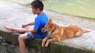 สุนัขที่สามารถนั่งโต๊ะกินข้าวได้ ต้องเคยสร้างคุณูปการใหญ่แน่นอน!