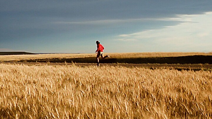 Life is a wilderness, not a track
