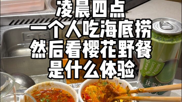 凌晨四点一个人去吃海底捞，然后去看樱花野餐，真的太惬意了，仿佛是在和春天约会