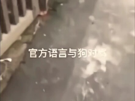 绝对是粗口，它自己听了都觉得不好意思。