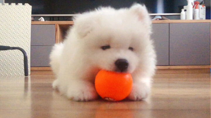 Khi bé Yeye đáng yêu gặp quả bóng