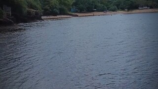 #bilibili#trend save nyu na