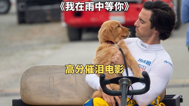 Do you believe that dogs can be reincarnated as humans after death? The highly rated tear-jerking mo