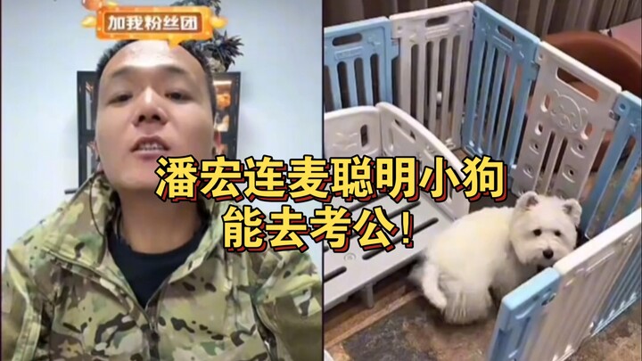 Pan Hong goes live with Clever Puppy—she could even take the civil service exam!