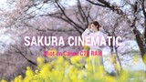 Sakura Cinematic | Shot on Canon C70 Cinema RAW Light