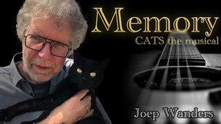 Memory guitar version (Cats the musical)| Free Tab in Description |