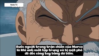 Top 7 Trái Zoan Mạnh Nhất One Piece #27- 7