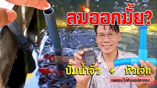 ไหวมั้ย? ทดลองต่อปั๊มน้ำจิ๋วกับหัวเจ็ท  Ventury DIY Test with Mini Pump l คุณพ่อคราฟ