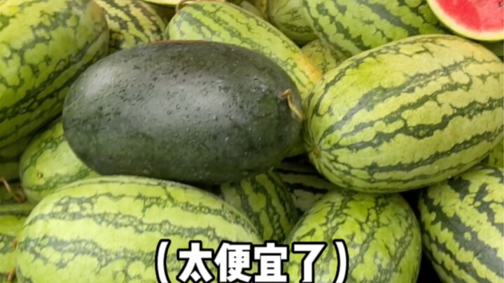 我好像体会到广西人的快乐了