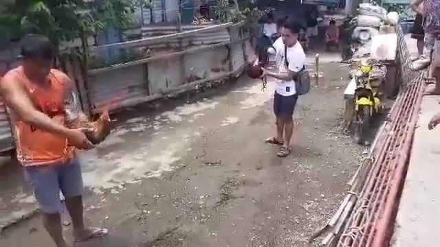 spartan in action
