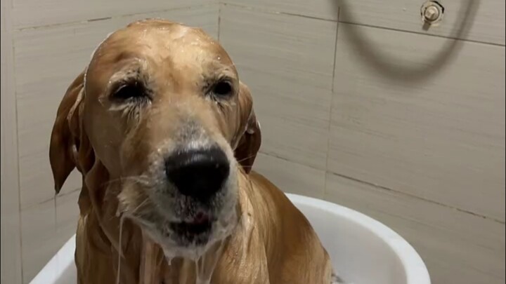 Time to wash up and head home!