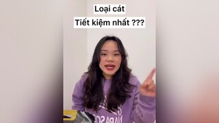 Các bạn đang dùng loại cát nào có định chuyển sang cát đậu nành không 😁😁😁cát_mèo mèocute meow meomeo cat mèo meohay