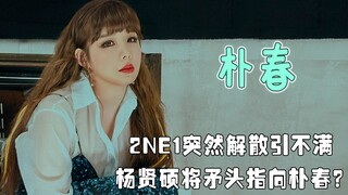 未出道即与李准基合作，后遭杨贤硕吐槽容貌，因精神疾病惹争议