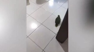 Tổng hợp meme trên internet D: (part 5)
