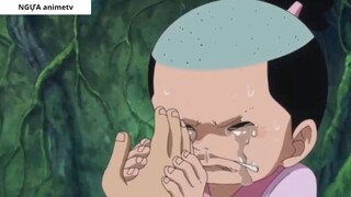 Hành động của Luffy khi Sabo, Vivi và Hancock gặp nạn __ Giả Thuyết __ 5