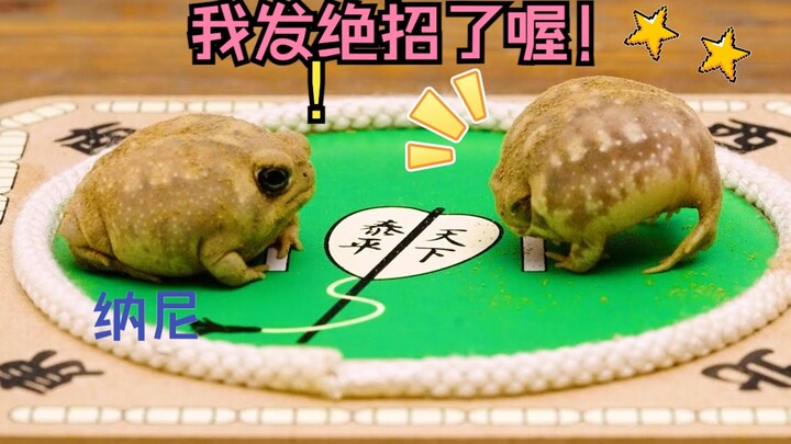 【Katak Mantou】Adu tenang sumo antara katak mantou!