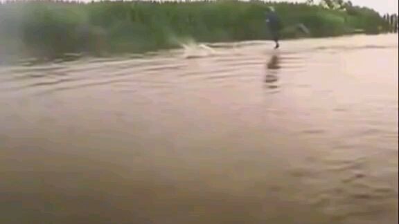 câu cá ngời đời ☠️