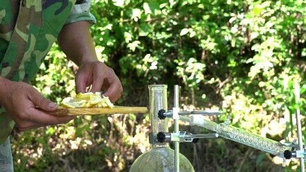 Homemade Lemon Hydrosol