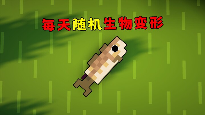 悬着的这颗心终于可以死了