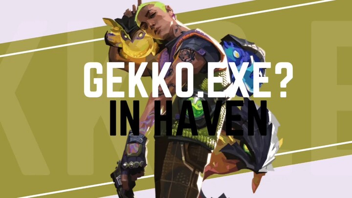 gekko in spike rush haven?? - valorant video