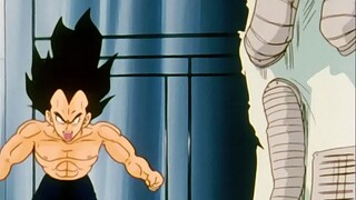 Berantakan sekali, ibu mertua mengincar Vegeta