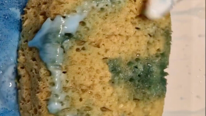 【วิดีโอคลายเครียดของพังหู】ผลงานใหม่ปล่อยแล้ว รีบมาดูกันเลย!