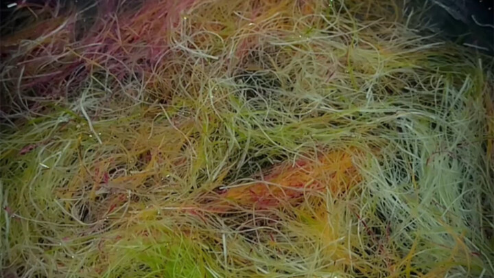 Para jagoan berkumpul, aku menerimamu dengan harga 80 saja, sama sekali tidak merugi.