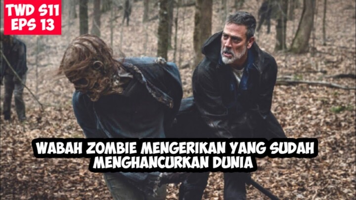 BERTAHAN HIDUP DARI WABAH ZOMBIE YANG SUDAH MENGUASAI DUNIA || THE WALKING DEAD S11 EPS 13