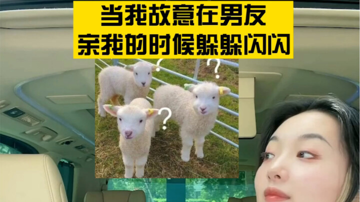 Pacar Tipe Acar Pedas