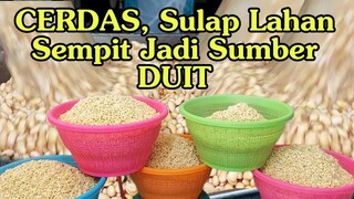 CERDAS manfaatkan ruangan sempit untuk jadi lahan duit | BISNIS RUMAHAN MENJANJIKAN