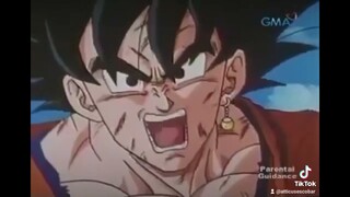 Putang Ina mo Vegeta...Tagalog Dub..