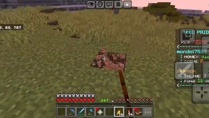 review sekitar rumah Minecraft